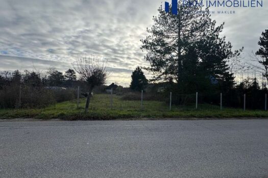 Traumhaftes Baugrundstück in Gänserndorf – 1.500 m² auf zwei Parzellen um 820.000€! 1B3BSkJsNNcDCA2ic1wYwD