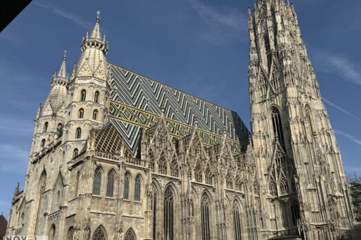 1DFEijV1pWLGiEpJm4bWFj