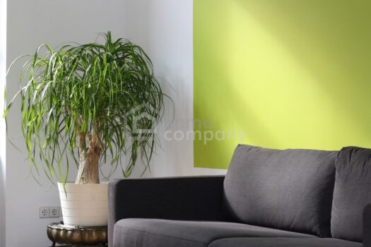 BÜRORÄUME - PRAXIS - SCHULUNGSRÄUME - hier können Sie selbst wählen! SYMBOLFOTO