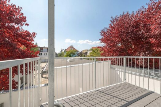 1NOpn2vQwpT3sXMgl1spdP