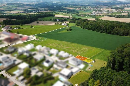 1NgUnDyAeNjrNQVA9QvK4w