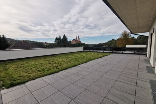 1ObKxMgxezhFuT2gikwtrw