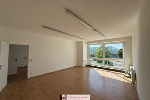 1Pz94LxDsXiMOvWow79k5D 1