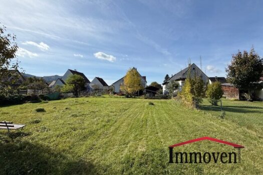 1To9vbGalseRrTXkyM8tgv