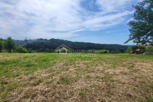 1U3rucwcbvpTUn8d4i58Cn