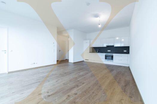 Moderne 2-Zimmer-Wohnung mit großzügiger Loggia und voll ausgestatteter Küche in Linz nähe Wifi zu vermieten! Wohn-, Ess- und Kochbereich