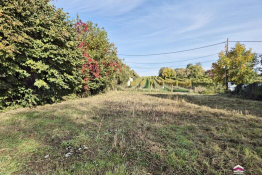 Verwirklichen Sie Ihre Wohnträume – vis-à-vis vom Weinberg und nahe dem Marchfeldkanal in Stadtrandlage! 1YjSNnKhaDSjsOWc16u0I0