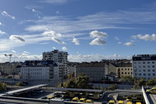 Charmante 1-Zimmer-Altbauwohnung in Ruhelage – Nähe U-Bahn und Donau 1cveHj4PkokrsMX08VUN1T