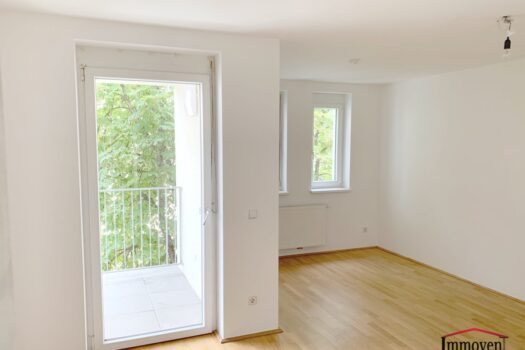 1g65Ml65PDELyANpncBj60