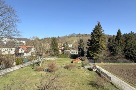 Ausblick Richtung Garten