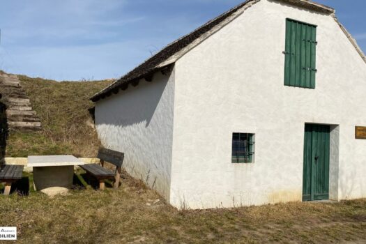 1i3uvHatrEM2s9yKmZbj9M