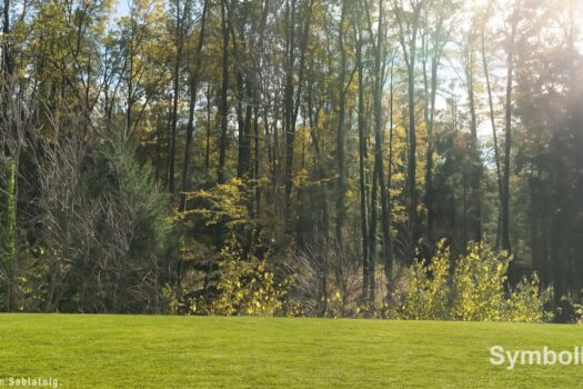 1k7ttwWRpc64s1Q2RtDZvC