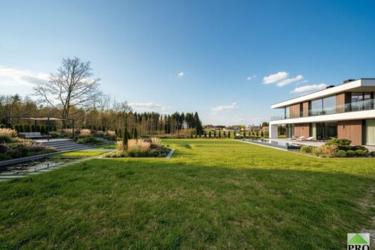 1m3Yzkx4qDb3ZJ3OPrOqwR