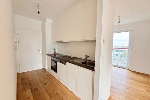 1mUpV4G6TmWBudmFVMLbiO