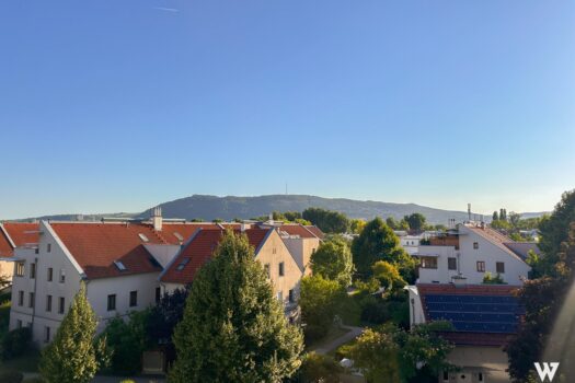 1pltYhdlMeDHpKeC1TsdkY