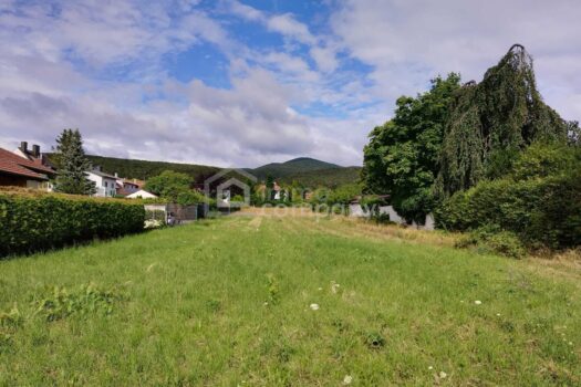 Besonderes Baugrundstück in Grünruhelage mit Fernblick in den Weinbergen Grundstück in wunderbarer exklusiver Lage an den Weinbergen