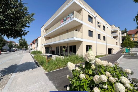 1uWQxeq8uf9fEplmk0f7yn