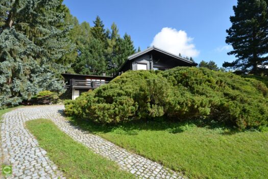 1wKNNYSg7pODyzbp2zKPkh