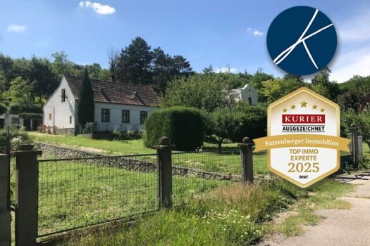 1xNT7sdzeliZJurvW5shoG