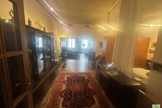 Beste Lage in Krems - am hohen Markt! 167m2 Eigentum als Geschäft, Büro, Wohnung oder Atelier gut geeignet! WhatsApp Bild 2024-06-04 um 21.42.20_e7c533e2