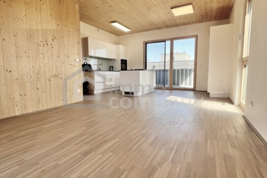 Moderne und neue Wohnung mit schöner Aussicht + Balkon und Terrasse! 2BsQ4aDT97GKjrQOXpiz3j