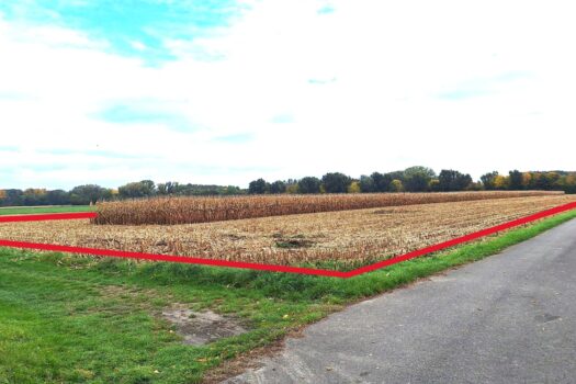 2ILN7WJNBgmeh8FqreUwyu