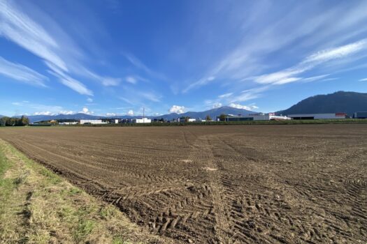 2ITgq97N7QiHD6BDZNFh1p