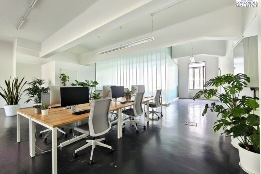 Möblierungsvorschlag