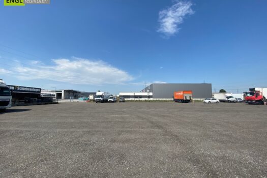 2Jr2avwyoIzzZsFt2qx8GP