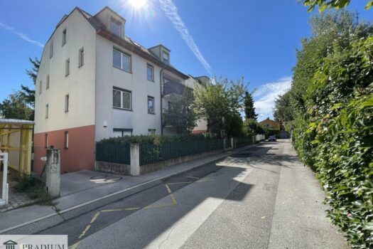 2Nc3LUiLCDOK0ae7lf0ySY