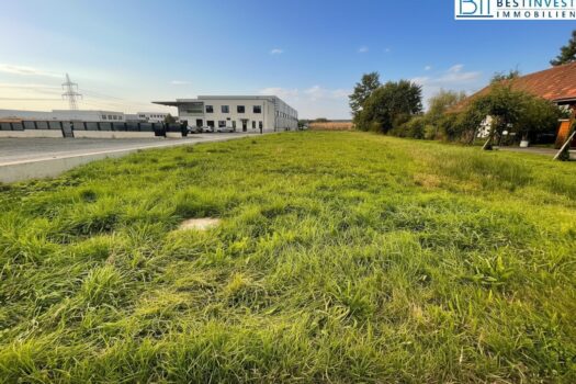 2RwCpDTHs21M8LlRs6aKyT