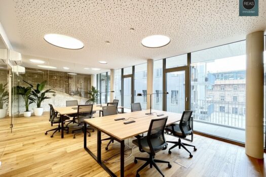 2ViJX6N8ZE9WZT3ztowNvf