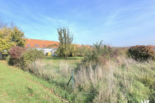 2YDvsICkPcPMGjjWZuxJEw