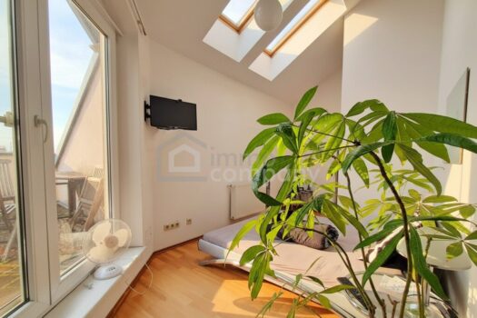 2mHfJ3bG4jKgHUcOIarThJ