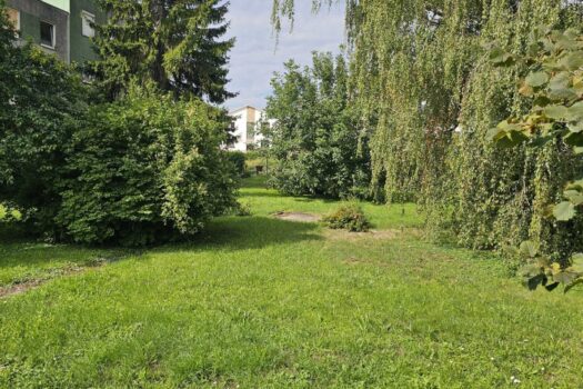 Neuer Preis! Traumhaftes Baugrundstück im Zentrum – Ihr Eigenheim mit Grünblick Grundstück - NESTOR Immobilien
