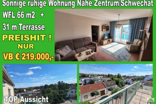 Sonnige ruhige Wohnung mit großer Terrasse Nähe Zentrum Schwechat. 2ul4IN9s5rqSQ6ihFZxgW2