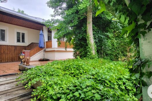 2zhCNvYD0Rigeosl80m1jJ