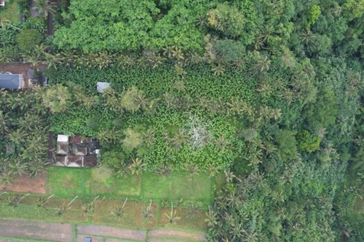 34vCoTmpC4qLHovRYYN6OV