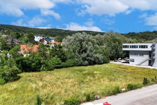 Betriebsbaugrund im Ortszentrum Pressbaum/Tullnerbach Südwest nach Nordost