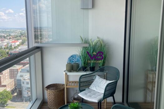 38933ziQLuLB1zRUAaFsoS 1