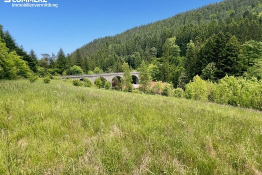 3ASoJpz8cJgvvvzJlkCfmK