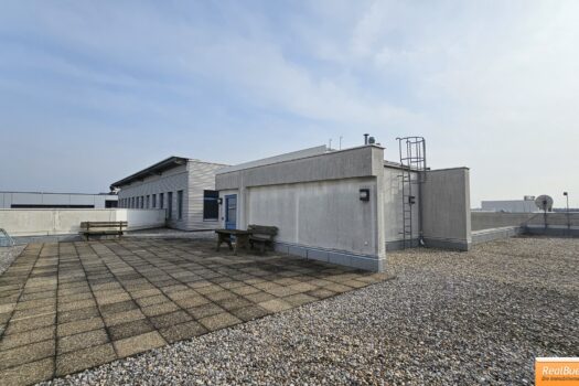 Gemeinschaftsterrasse