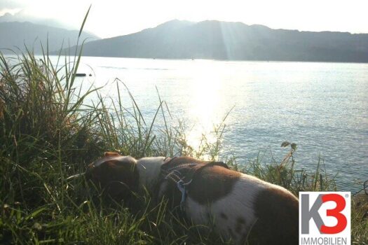 3IKwnCeRUUkn07YgdHknon