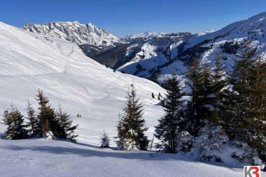 3LYecvSrNUvdIxC30Lx2q7