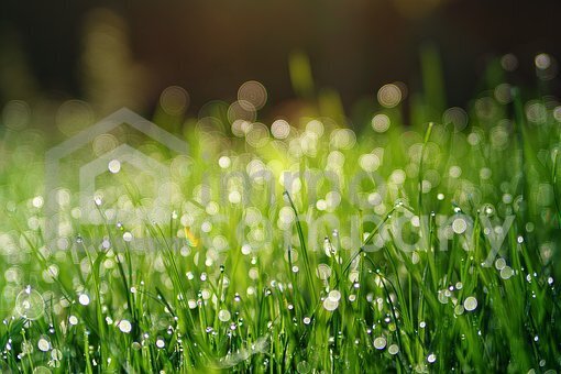 Aufgeschlossenes Baugrundstück in Zillingdorf