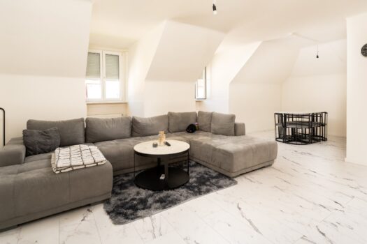 Wohnzimmer + Essbereich