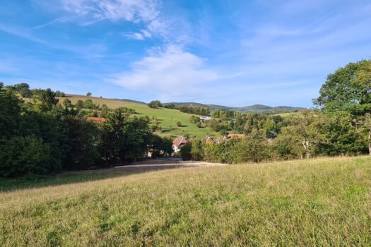 ***OPTIMALE GELEGENHEIT! GRUNDSTÜCK MIT 14.641m², DAVON 2.359m² BAULAND IM IRENENTAL!*** 3aIbVeyhVlJhvC33fScXza 2