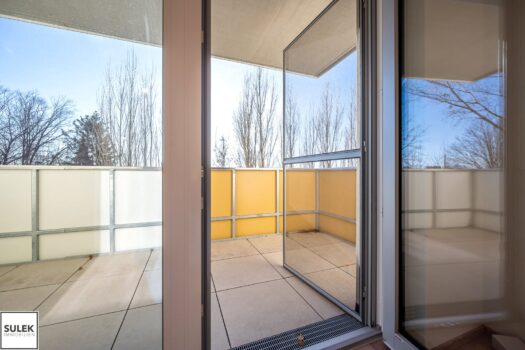 3aRYslBxkbLY9Ajxdmn66J