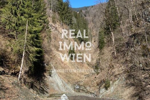 3dDEr4NxPpL3KbGATborjg