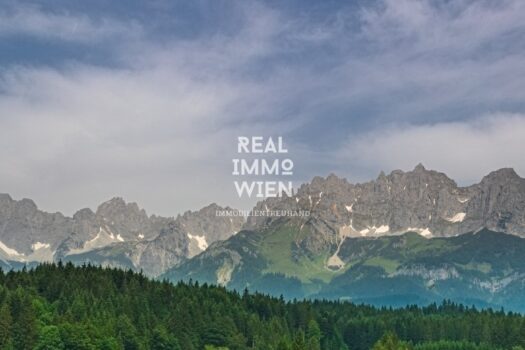 3dnXqdCaskxD9d09mFiRcV